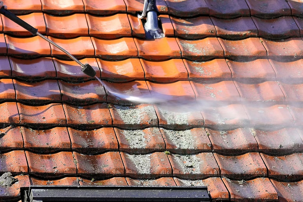 Neurological Sciences